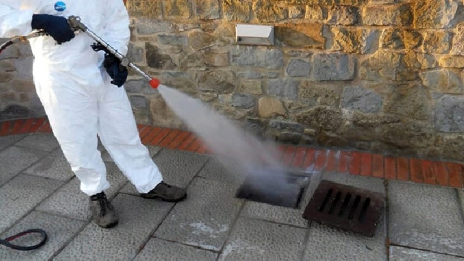 derattizzazione 2