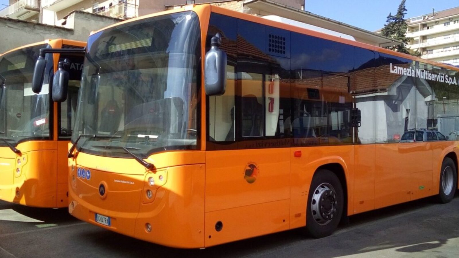 doppio bus