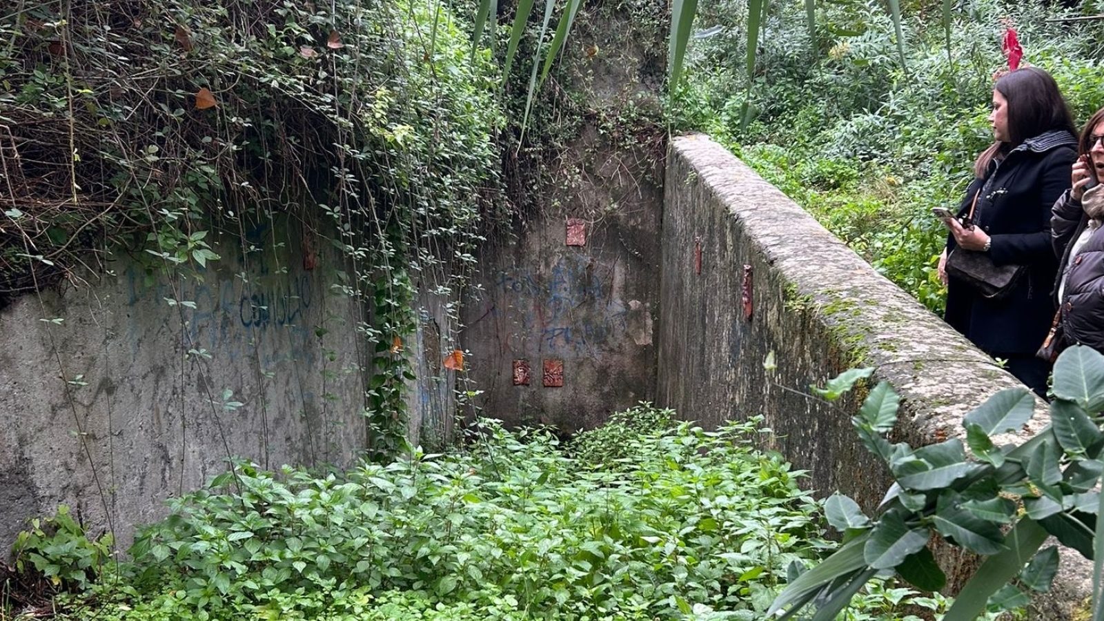 faf16ac6-3332-4c97-b10e-4184a294ef34