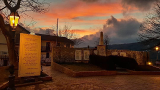 foto platania generica