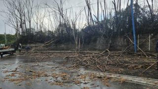 generico-gennaio-2026-354792.660x368