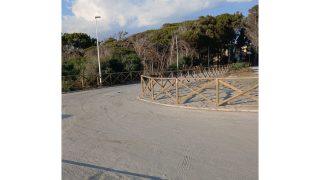 ginepri generica
