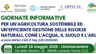 grafica
