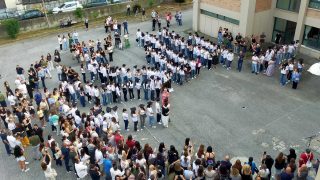immagine-compressa (6)