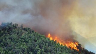 incendi-boschivi (1)