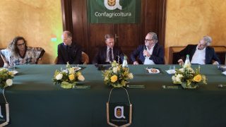 lamezia-lollobrigida-1