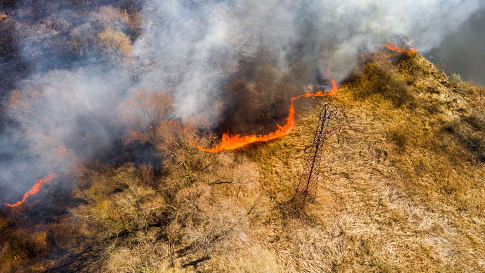 ok incendi archivio