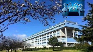 ospedale lamezia