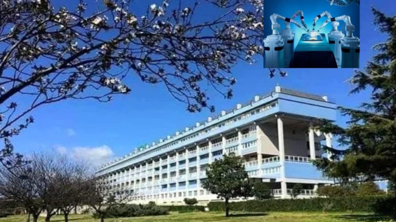 ospedale lamezia