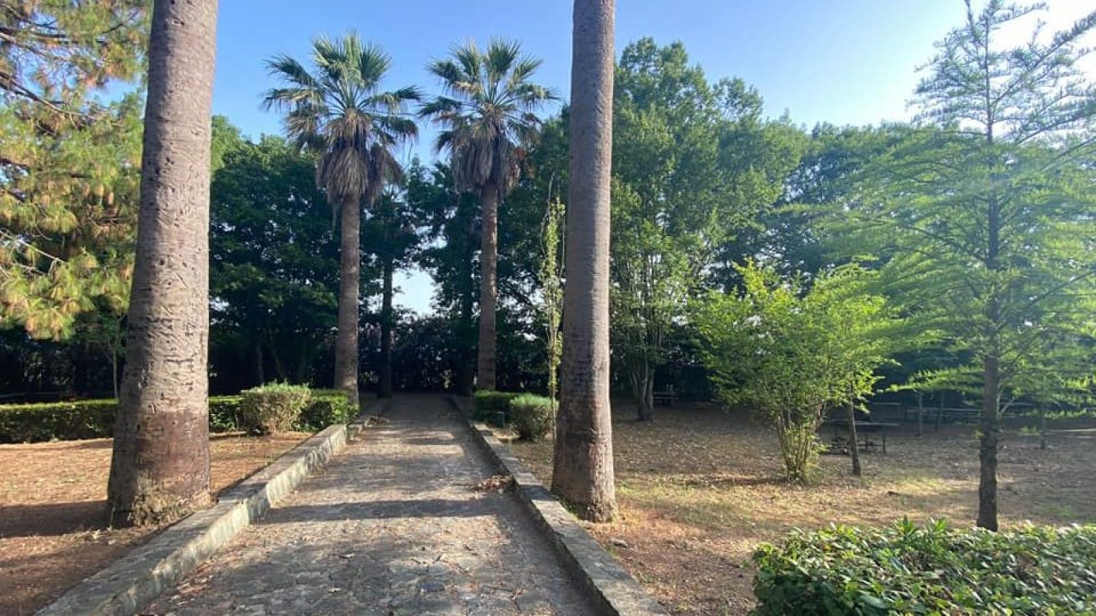 parco dossi comuni