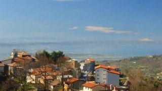 platania dall'alto